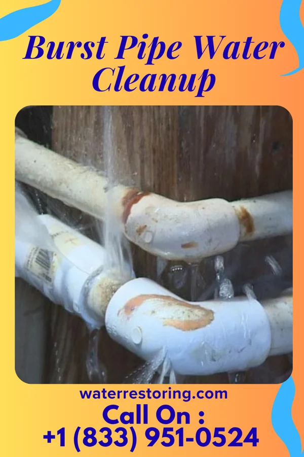 Burst Pipe Water Cleanup in North Great River, NY