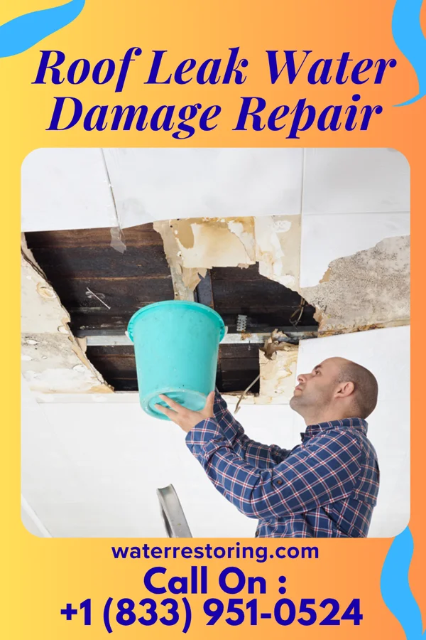 Roof Leak Water Damage Repair in North Great River, NY