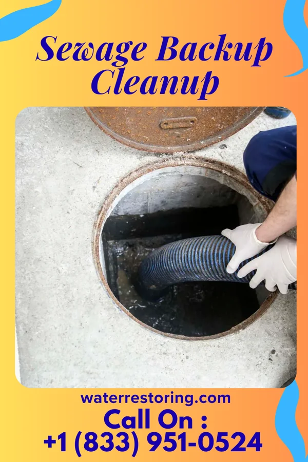 Sewage Backup Cleanup in North Great River, NY