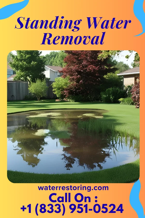 Standing Water Removal in North Great River, NY